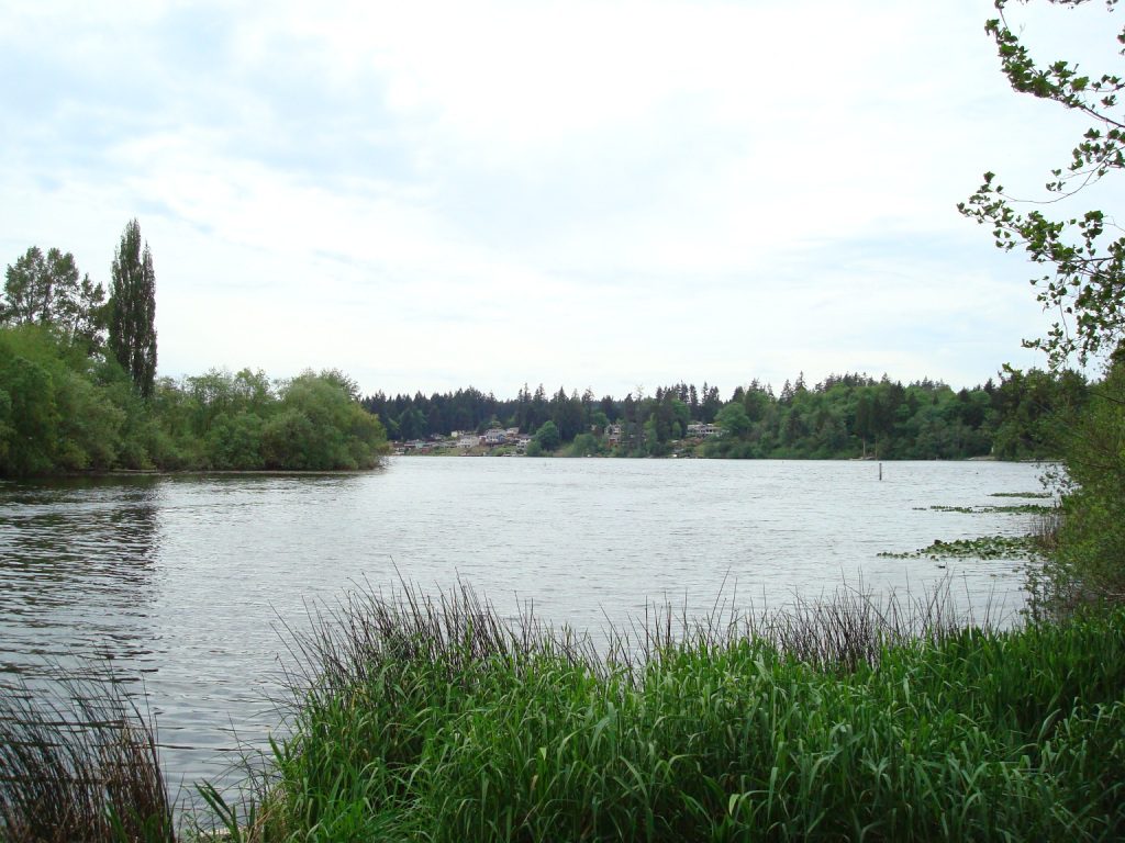 Long Lake County Park: A Fishing and Recreation Hub