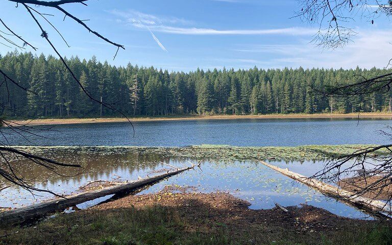 A hidden gem in South Kitsap: Square Lake